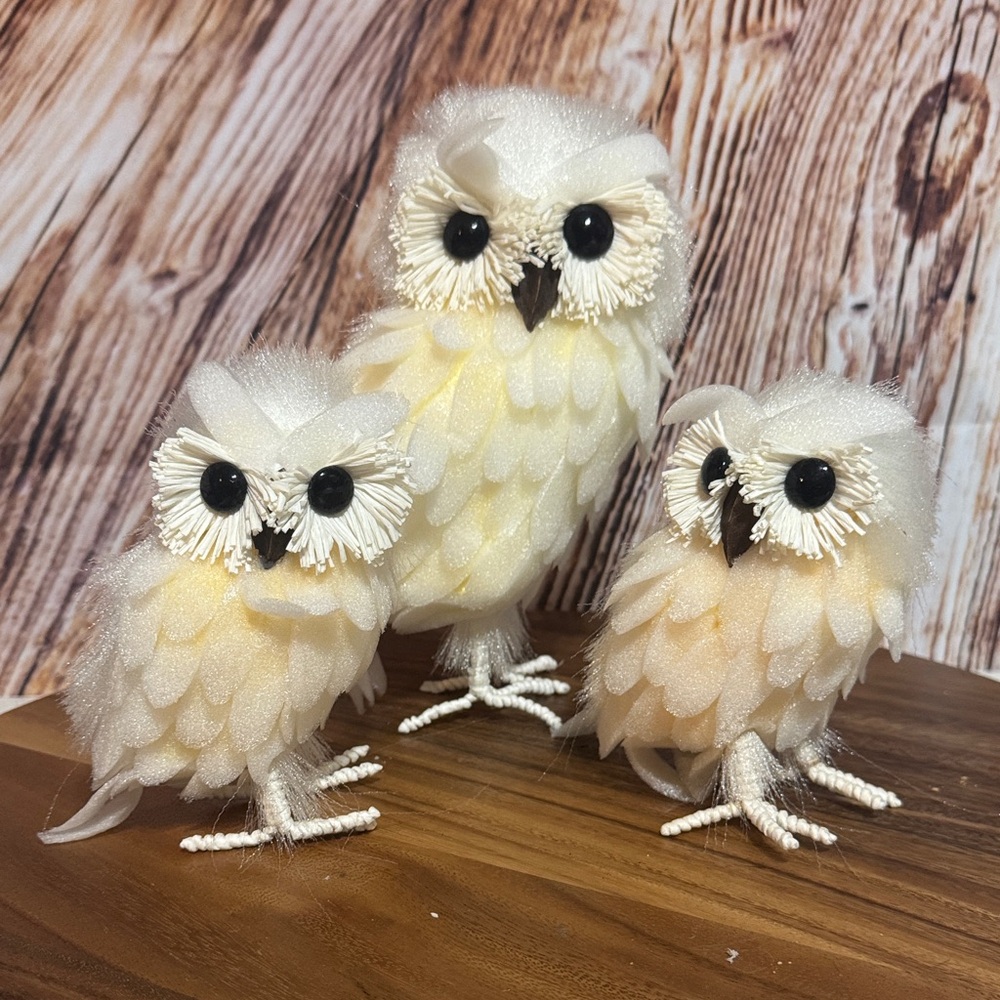 Charming Cream Owl Decor Set